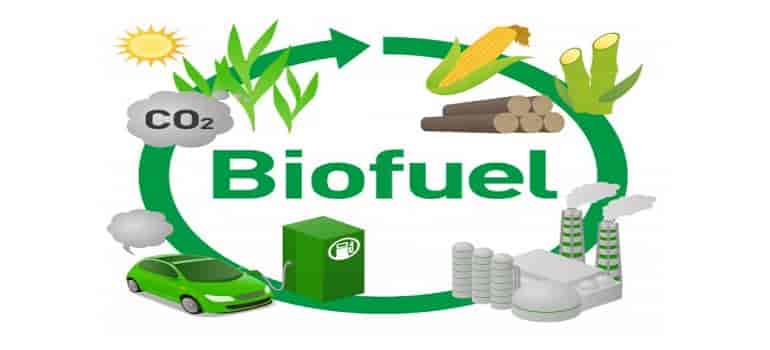 Biofuel